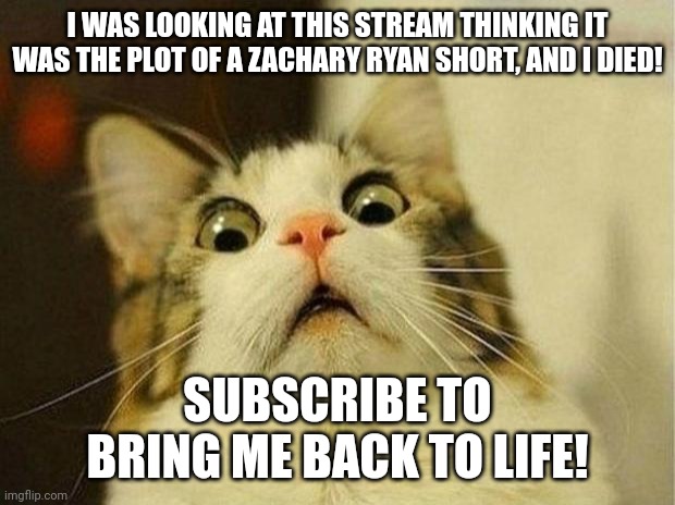 Fixes Mod Note: (good job bub) | I WAS LOOKING AT THIS STREAM THINKING IT WAS THE PLOT OF A ZACHARY RYAN SHORT, AND I DIED! SUBSCRIBE TO BRING ME BACK TO LIFE! | image tagged in memes,scared cat | made w/ Imgflip meme maker