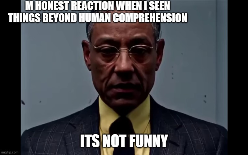 ererererere | M HONEST REACTION WHEN I SEEN THINGS BEYOND HUMAN COMPREHENSION; ITS NOT FUNNY | image tagged in gus fring flashback | made w/ Imgflip meme maker