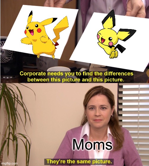 True | Moms | image tagged in memes,they're the same picture | made w/ Imgflip meme maker