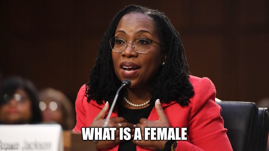Ketanji Brown Jackson | WHAT IS A FEMALE | image tagged in ketanji brown jackson | made w/ Imgflip meme maker