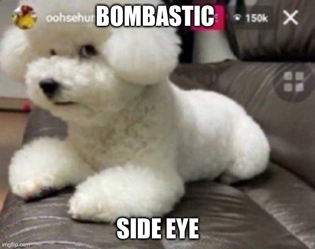 Bombastic side eye | BOMBASTIC SIDE EYE | image tagged in bombastic side eye | made w/ Imgflip meme maker