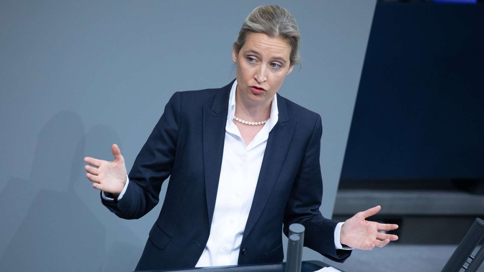 High Quality Alice Weidel, German fascist politician Blank Meme Template