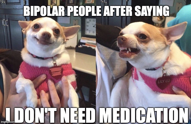 Smiling Dog Angry Dog | BIPOLAR PEOPLE AFTER SAYING; I DON'T NEED MEDICATION | image tagged in smiling dog angry dog | made w/ Imgflip meme maker