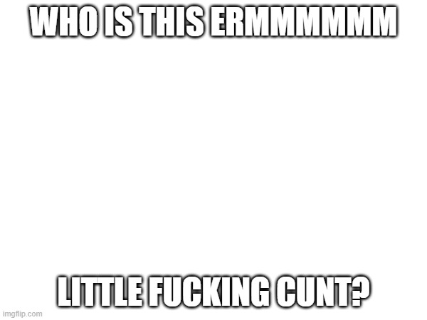 WHO IS THIS ERMMMMMM; LITTLE FUCKING CUNT? | made w/ Imgflip meme maker