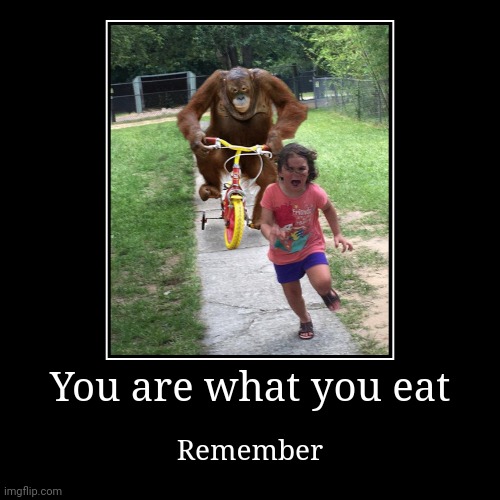 Ahh LA monke | You are what you eat | Remember | image tagged in funny,demotivationals | made w/ Imgflip demotivational maker