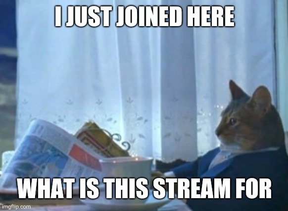 I Should Buy A Boat Cat | I JUST JOINED HERE; WHAT IS THIS STREAM FOR | image tagged in memes,i should buy a boat cat | made w/ Imgflip meme maker