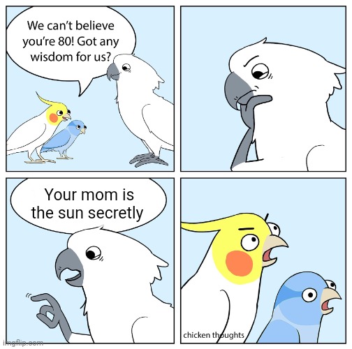 Custom ur wise cockatoo | Your mom is the sun secretly | image tagged in custom ur wise cockatoo,roast,mom,ahh goofy birds | made w/ Imgflip meme maker