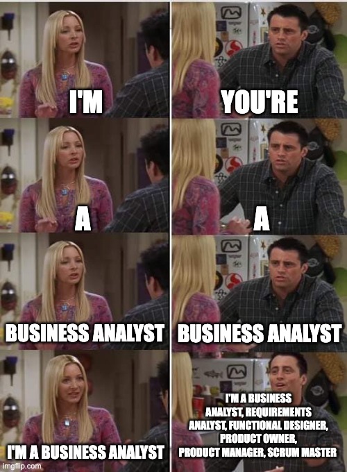 Business analyst | I'M; YOU'RE; A; A; BUSINESS ANALYST; BUSINESS ANALYST; I'M A BUSINESS ANALYST, REQUIREMENTS ANALYST, FUNCTIONAL DESIGNER, PRODUCT OWNER, PRODUCT MANAGER, SCRUM MASTER; I'M A BUSINESS ANALYST | image tagged in phoebe joey | made w/ Imgflip meme maker