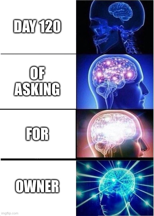 Expanding Brain Meme | DAY 120; OF ASKING; FOR; OWNER | image tagged in memes,expanding brain | made w/ Imgflip meme maker