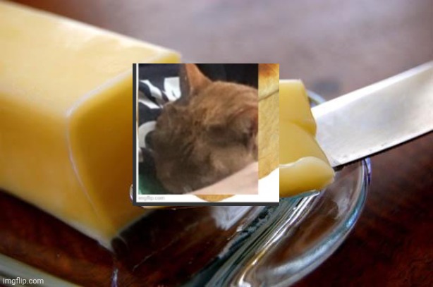 butter | image tagged in butter | made w/ Imgflip meme maker