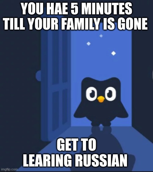 duo | YOU HAE 5 MINUTES TILL YOUR FAMILY IS GONE; GET TO LEARING RUSSIAN | image tagged in duolingo bird | made w/ Imgflip meme maker