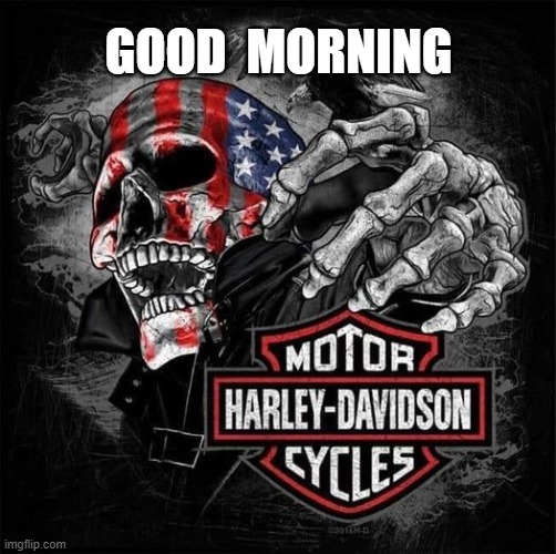 HARLEY DAVIDSON BAR & SHIELD, SKULL "GOOD MORNING" | GOOD  MORNING | image tagged in skulls | made w/ Imgflip meme maker