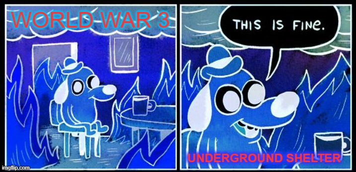 This Is Fine | WORLD WAR 3; UNDERGROUND SHELTER | image tagged in memes,this is fine | made w/ Imgflip meme maker