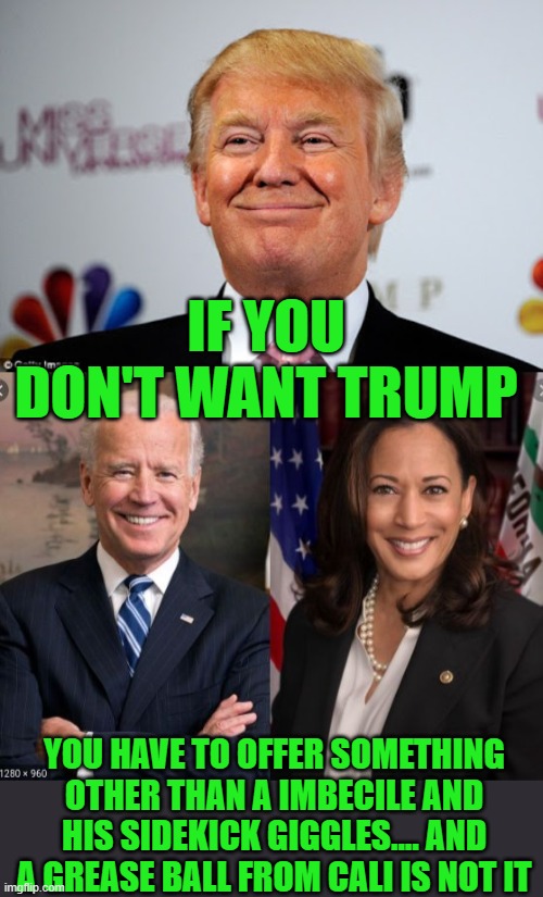 Grab your ankles we are Fuxked | IF YOU DON'T WANT TRUMP; YOU HAVE TO OFFER SOMETHING OTHER THAN A IMBECILE AND HIS SIDEKICK GIGGLES.... AND A GREASE BALL FROM CALI IS NOT IT | image tagged in donald trump approves,biden and harris | made w/ Imgflip meme maker