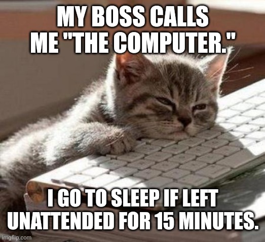Computer Cat | MY BOSS CALLS ME "THE COMPUTER."; I GO TO SLEEP IF LEFT UNATTENDED FOR 15 MINUTES. | image tagged in tired cat | made w/ Imgflip meme maker