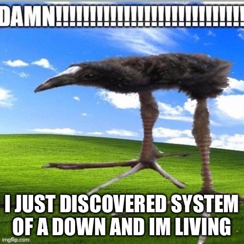 DAMN!!!!!!! | I JUST DISCOVERED SYSTEM OF A DOWN AND IM LIVING | image tagged in damn | made w/ Imgflip meme maker