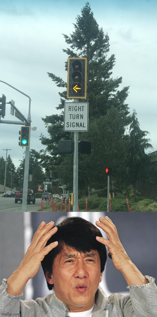 "Right turn signal" | image tagged in jackie chan confused,left,right,traffic lights,you had one job,memes | made w/ Imgflip meme maker