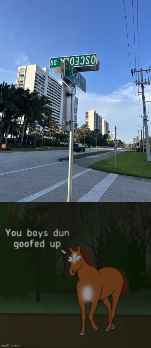 Street signs | image tagged in you boys dun goofed up,street signs,signs,you had one job,memes,upside down | made w/ Imgflip meme maker