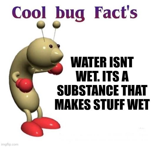 What?? | WATER ISNT WET. ITS A SUBSTANCE THAT MAKES STUFF WET | image tagged in cool bug facts,confused screaming,oh wow are you actually reading these tags,fun | made w/ Imgflip meme maker
