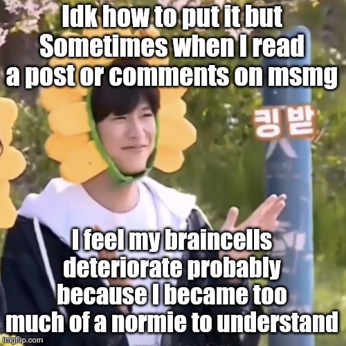 I was away from the internet for some time so | Idk how to put it but
Sometimes when I read a post or comments on msmg; I feel my braincells deteriorate probably because I became too much of a normie to understand | made w/ Imgflip meme maker