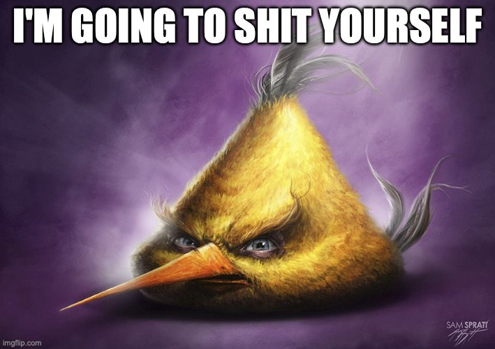 Realistic yellow angry bird | I'M GOING TO SHIT YOURSELF | image tagged in realistic yellow angry bird | made w/ Imgflip meme maker