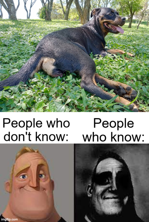 it was a zoophile's dog | image tagged in mr incredible uncanny | made w/ Imgflip meme maker