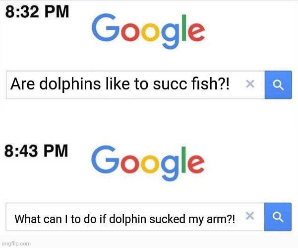 that's why you need just to throw fish to your dolphin XD XP | Are dolphins like to succ fish?! What can I to do if dolphin sucked my arm?! | image tagged in google 11 minutes later | made w/ Imgflip meme maker