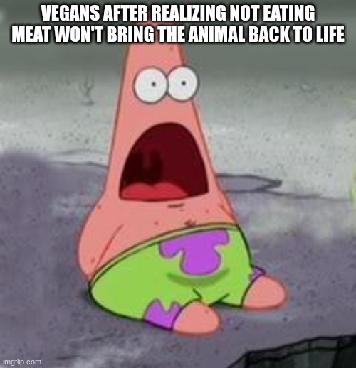 day one of pissing off vegans | VEGANS AFTER REALIZING NOT EATING MEAT WON'T BRING THE ANIMAL BACK TO LIFE | image tagged in suprised patrick | made w/ Imgflip meme maker