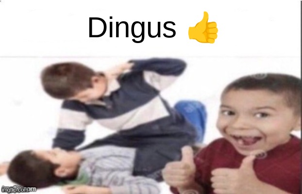 first degree murder | Dingus ? | image tagged in first degree murder | made w/ Imgflip meme maker