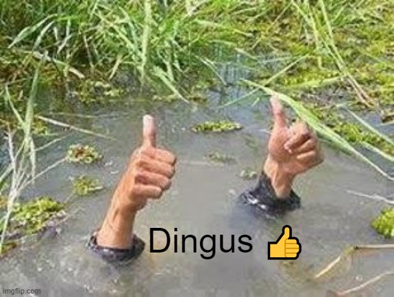FLOODING THUMBS UP | Dingus ? | image tagged in flooding thumbs up | made w/ Imgflip meme maker