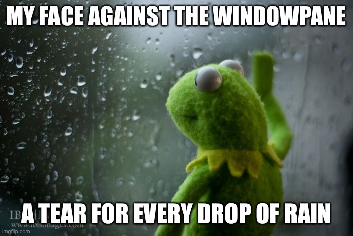 Who remembers Anna Blue? | MY FACE AGAINST THE WINDOWPANE; A TEAR FOR EVERY DROP OF RAIN | image tagged in kermit window,anna blue | made w/ Imgflip meme maker