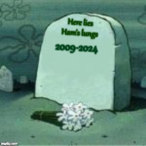Here Lies X | 2009-2024 Here lies Ham's lungs | image tagged in here lies x | made w/ Imgflip meme maker