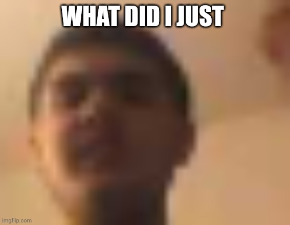 WHAT DID I JUST | made w/ Imgflip meme maker