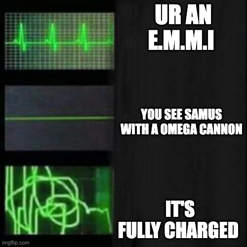 Leave it blank, please | UR AN E.M.M.I; YOU SEE SAMUS WITH A OMEGA CANNON; IT'S FULLY CHARGED | image tagged in leave it blank please | made w/ Imgflip meme maker