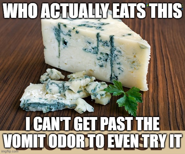 Blue Cheese Stinks | WHO ACTUALLY EATS THIS; I CAN'T GET PAST THE VOMIT ODOR TO EVEN TRY IT | image tagged in cheese time | made w/ Imgflip meme maker
