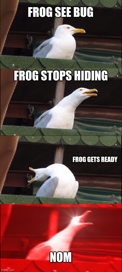 Inhaling Seagull | FROG SEE BUG; FROG STOPS HIDING; FROG GETS READY; NOM | image tagged in memes,inhaling seagull | made w/ Imgflip meme maker