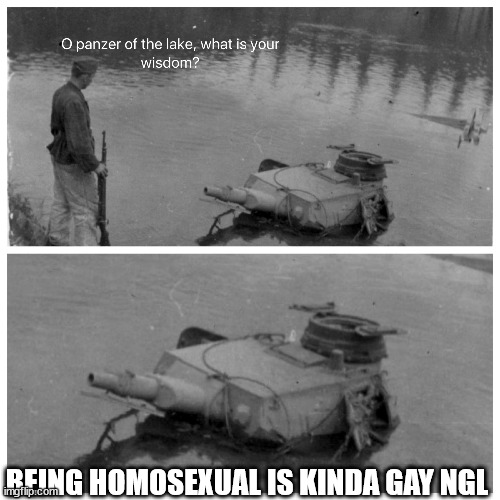 panzer of the lake template | BEING HOMOSEXUAL IS KINDA GAY NGL | image tagged in panzer of the lake template | made w/ Imgflip meme maker