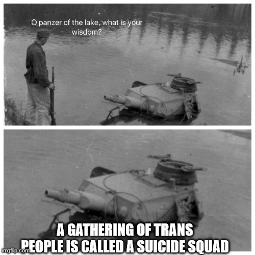 panzer of the lake template | A GATHERING OF TRANS PEOPLE IS CALLED A SUICIDE SQUAD | image tagged in panzer of the lake template | made w/ Imgflip meme maker
