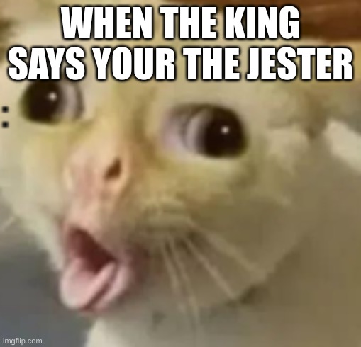 JESTERRRRR | WHEN THE KING SAYS YOUR THE JESTER | image tagged in never gonna give you up,never gonna let you down,never gonna run around,and desert you | made w/ Imgflip meme maker