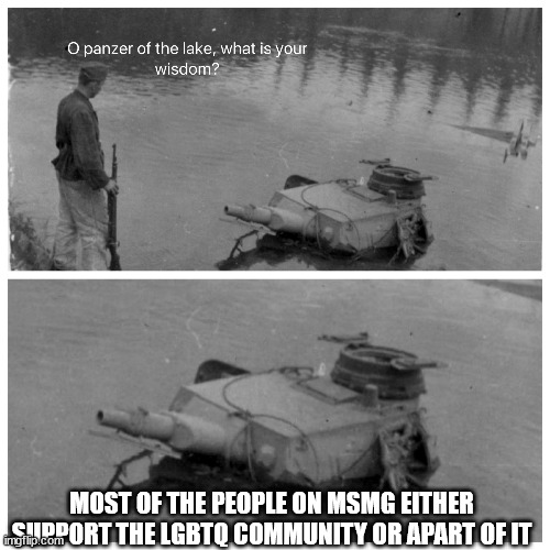 oh im gona get hate for this | MOST OF THE PEOPLE ON MSMG EITHER SUPPORT THE LGBTQ COMMUNITY OR APART OF IT | image tagged in panzer of the lake template | made w/ Imgflip meme maker