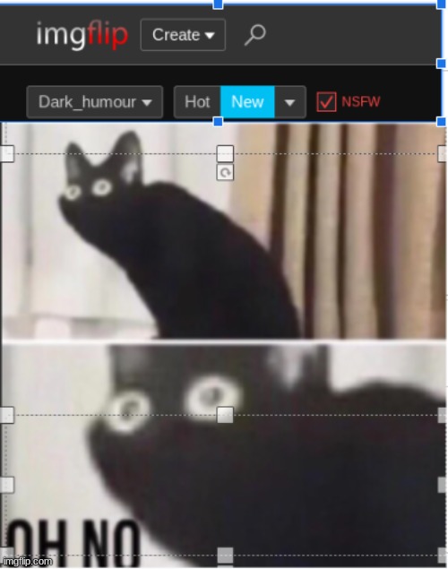 image tagged in imgflip,oh no black cat | made w/ Imgflip meme maker