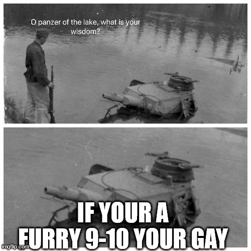 panzer of the lake template | IF YOUR A FURRY 9-10 YOUR GAY | image tagged in panzer of the lake template | made w/ Imgflip meme maker