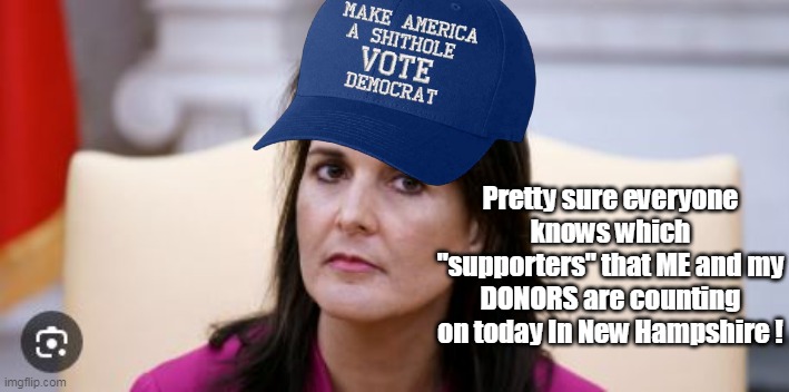 Nikki's, ahem, "Constituency" | Pretty sure everyone knows which "supporters" that ME and my DONORS are counting on today In New Hampshire ! | image tagged in haley fake dem voters meme | made w/ Imgflip meme maker