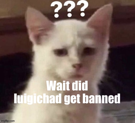 ? | Wait did luigichad get banned | made w/ Imgflip meme maker