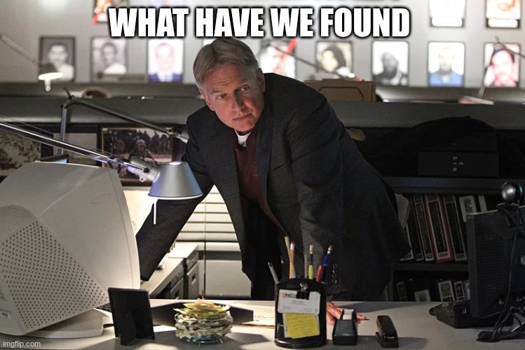 NCIS gibbs | WHAT HAVE WE FOUND | image tagged in ncis gibbs | made w/ Imgflip meme maker