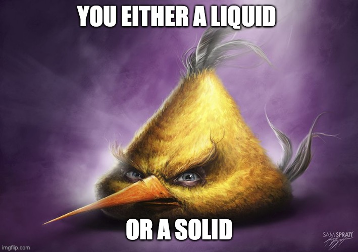 (snake) | YOU EITHER A LIQUID; OR A SOLID | image tagged in realistic yellow angry bird | made w/ Imgflip meme maker