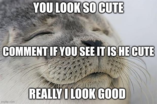 view comment and upvotes | YOU LOOK SO CUTE; COMMENT IF YOU SEE IT IS HE CUTE; REALLY I LOOK GOOD | image tagged in memes,satisfied seal | made w/ Imgflip meme maker
