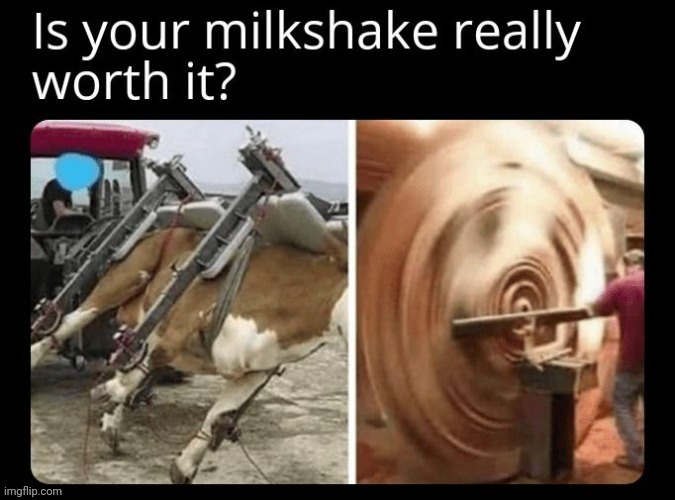 Milkshake | image tagged in milkshakes,milkshake,reposts,repost,memes,cow | made w/ Imgflip meme maker