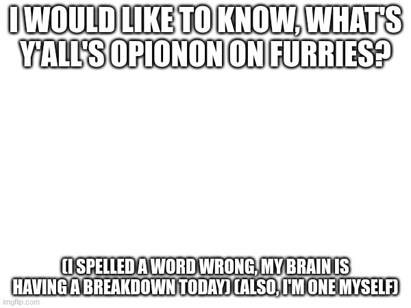 What do y'all think about furries? | I WOULD LIKE TO KNOW, WHAT'S Y'ALL'S OPIONON ON FURRIES? (I SPELLED A WORD WRONG, MY BRAIN IS HAVING A BREAKDOWN TODAY) (ALSO, I'M ONE MYSELF) | image tagged in furry,furries | made w/ Imgflip meme maker