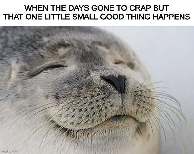 Gotta look for the little things | WHEN THE DAYS GONE TO CRAP BUT THAT ONE LITTLE SMALL GOOD THING HAPPENS | image tagged in memes,satisfied seal | made w/ Imgflip meme maker
